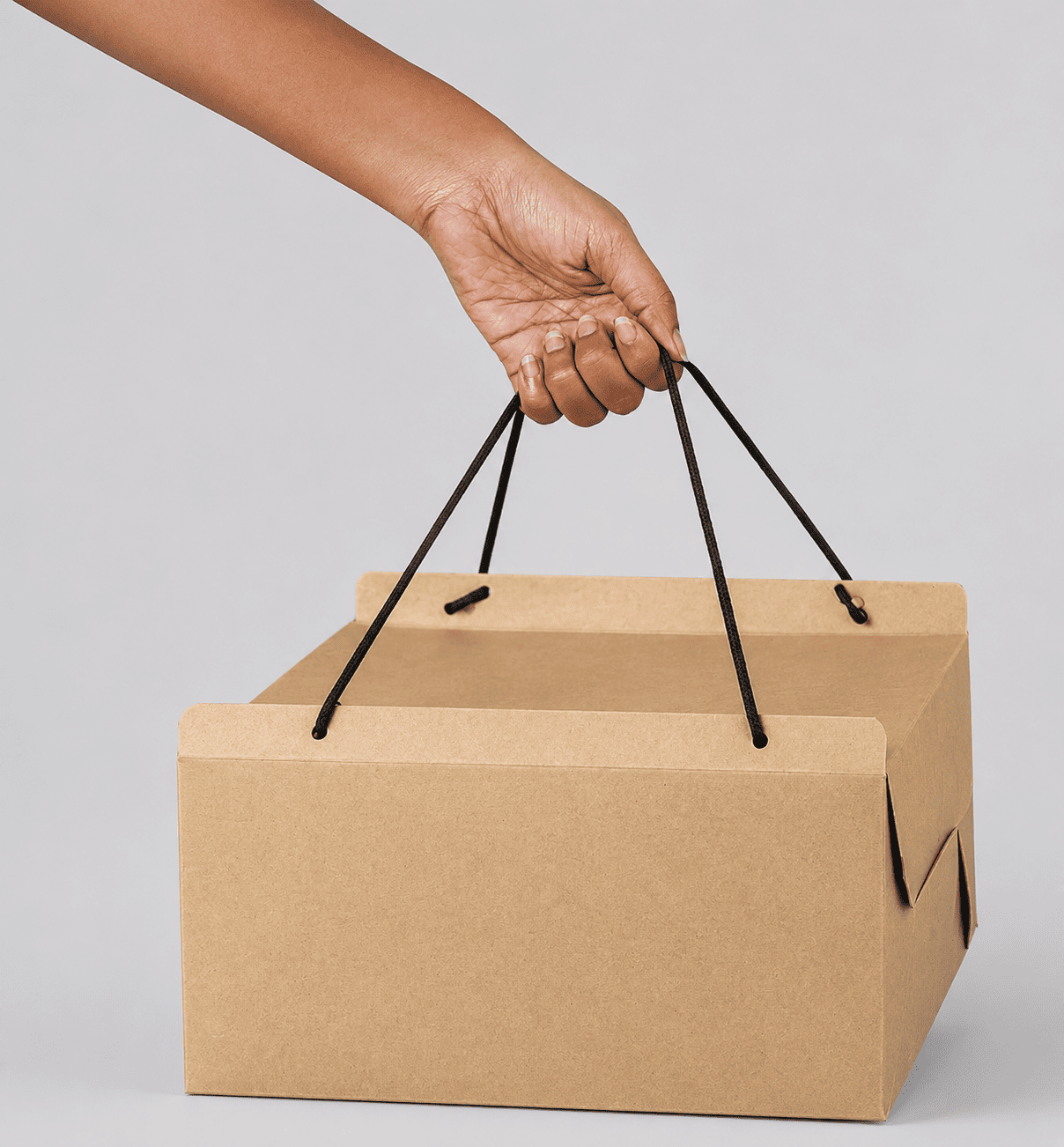 Cake Boxes alt
