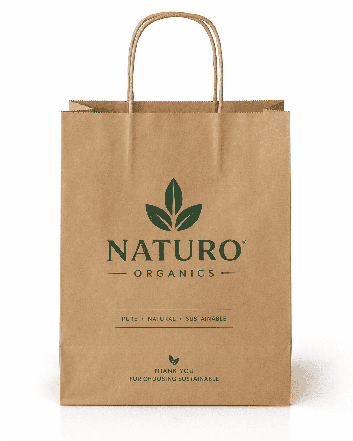 Paper Carry Bags alt